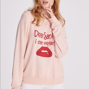 Wildfox Christmas Sweater 